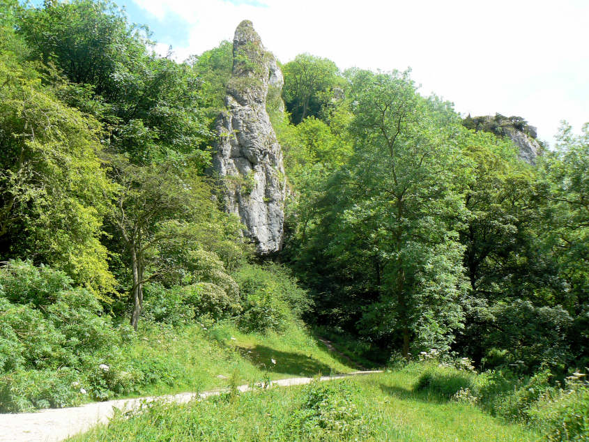 Pickering Tor Pickering Tor